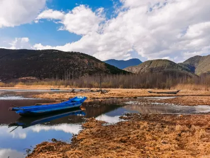 ビッグウィンズ カジノ モバイルアプリ